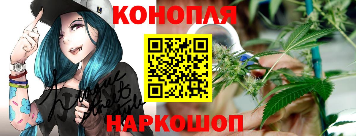 Шишки марихуана OG Kush Курган